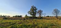  of property in Rietfontein JR