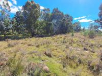  of property in Heidelberg - GP