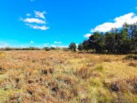  of property in Heidelberg - GP