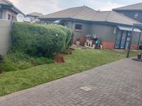  of property in Albertsdal