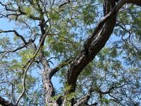  of property in Hoedspruit
