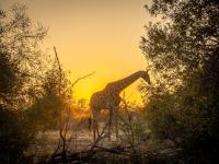  of property in Hoedspruit