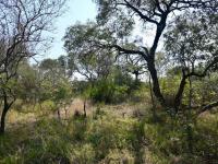  of property in Hoedspruit