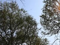  of property in Hoedspruit