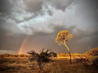  of property in Hoedspruit
