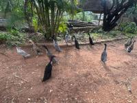  of property in Rustenburg