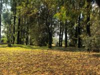  of property in Wigwam