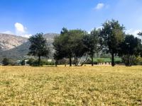  of property in Wigwam