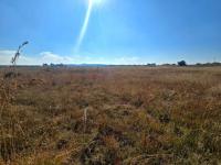  of property in Walkerville