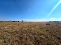  of property in Walkerville
