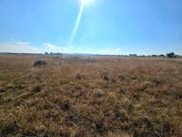  of property in Walkerville