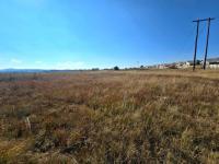  of property in Walkerville