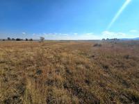  of property in Walkerville