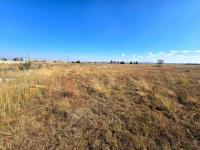  of property in Walkerville