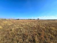  of property in Walkerville