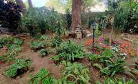  of property in Manaba Beach