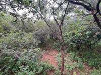  of property in Marloth Park