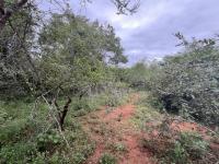  of property in Marloth Park