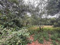  of property in Marloth Park