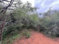  of property in Marloth Park