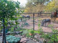  of property in Marloth Park