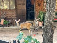  of property in Marloth Park