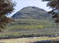  of property in Noordhoek
