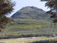  of property in Noordhoek