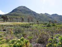  of property in Noordhoek