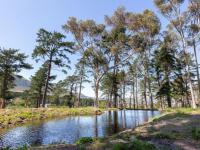  of property in Noordhoek