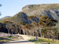  of property in Noordhoek