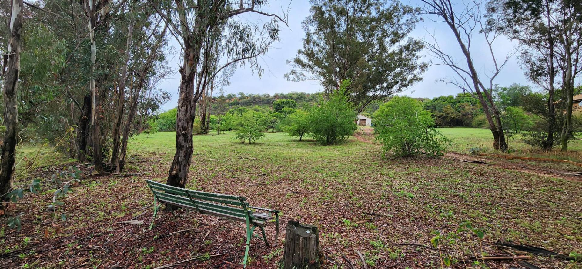 Front View of property in Walkerville