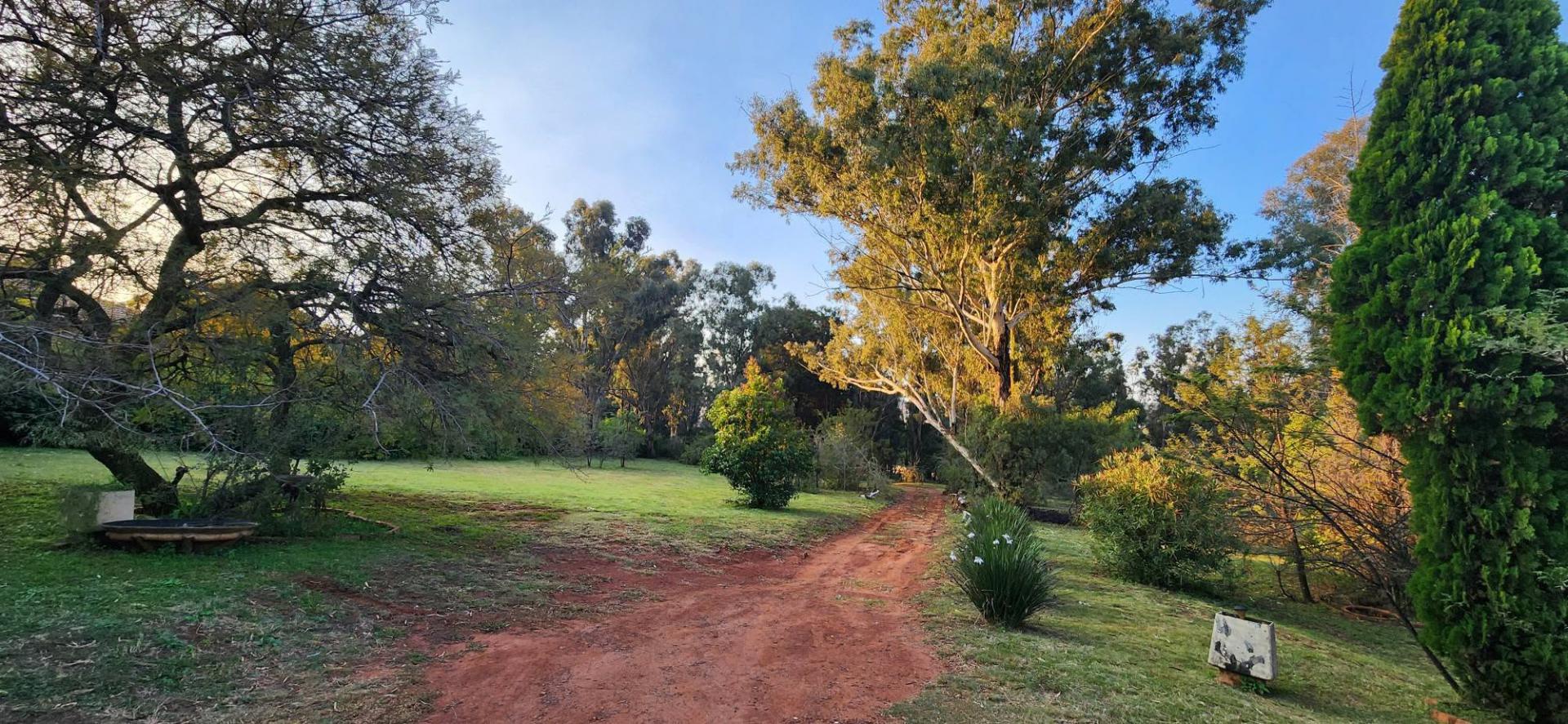  of property in Walkerville