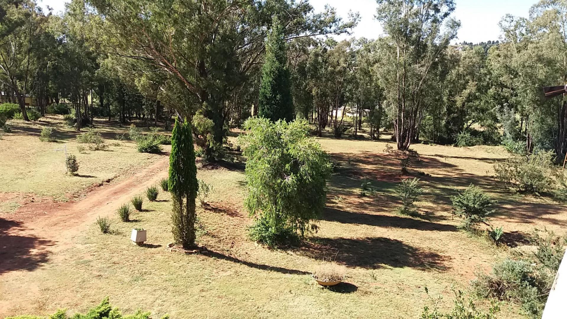  of property in Walkerville