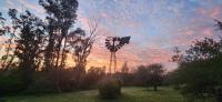  of property in Walkerville