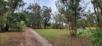  of property in Walkerville