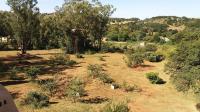 of property in Walkerville