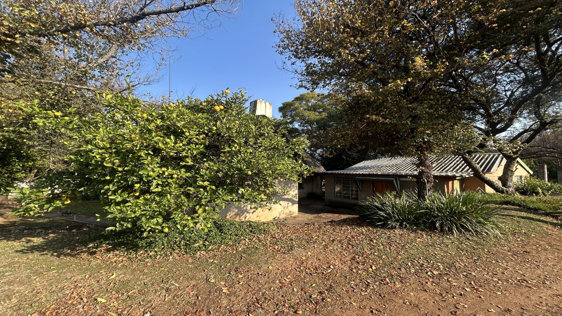 Garden of property in Krugersdorp