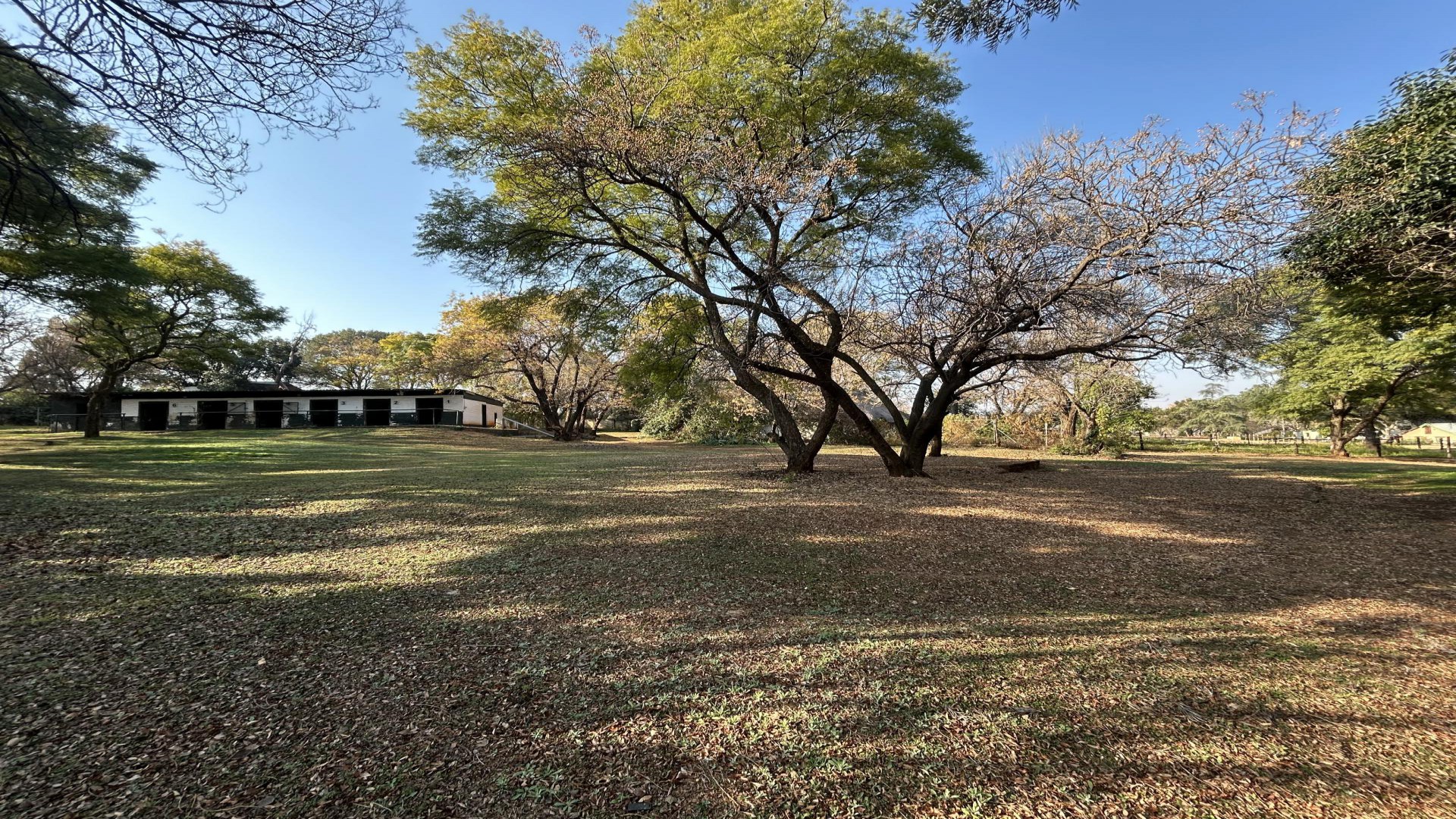 Garden of property in Krugersdorp