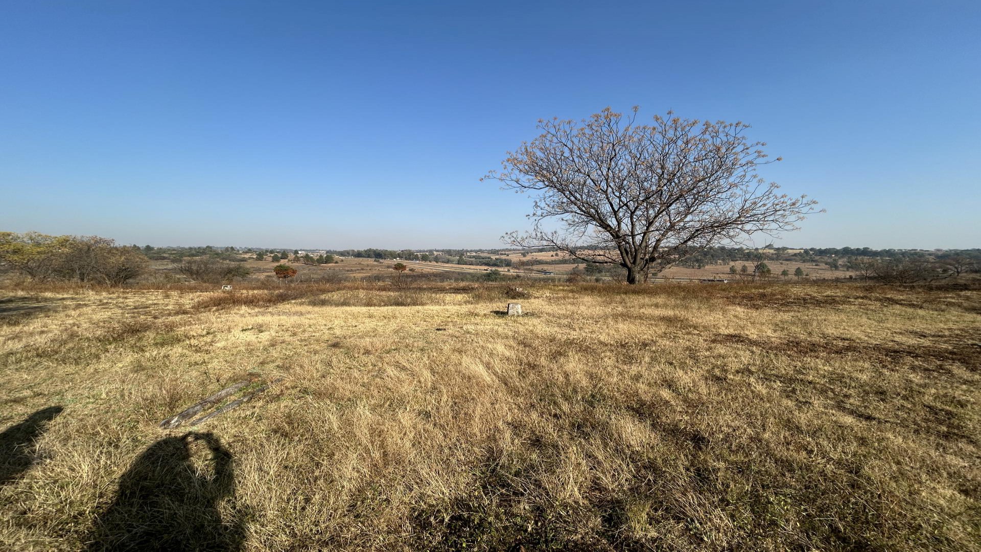 Garden of property in Krugersdorp