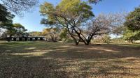 Garden of property in Krugersdorp