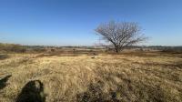 Garden of property in Krugersdorp