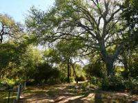  of property in Hoedspruit