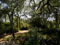 of property in Hoedspruit