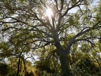  of property in Hoedspruit
