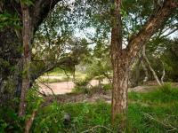  of property in Hoedspruit