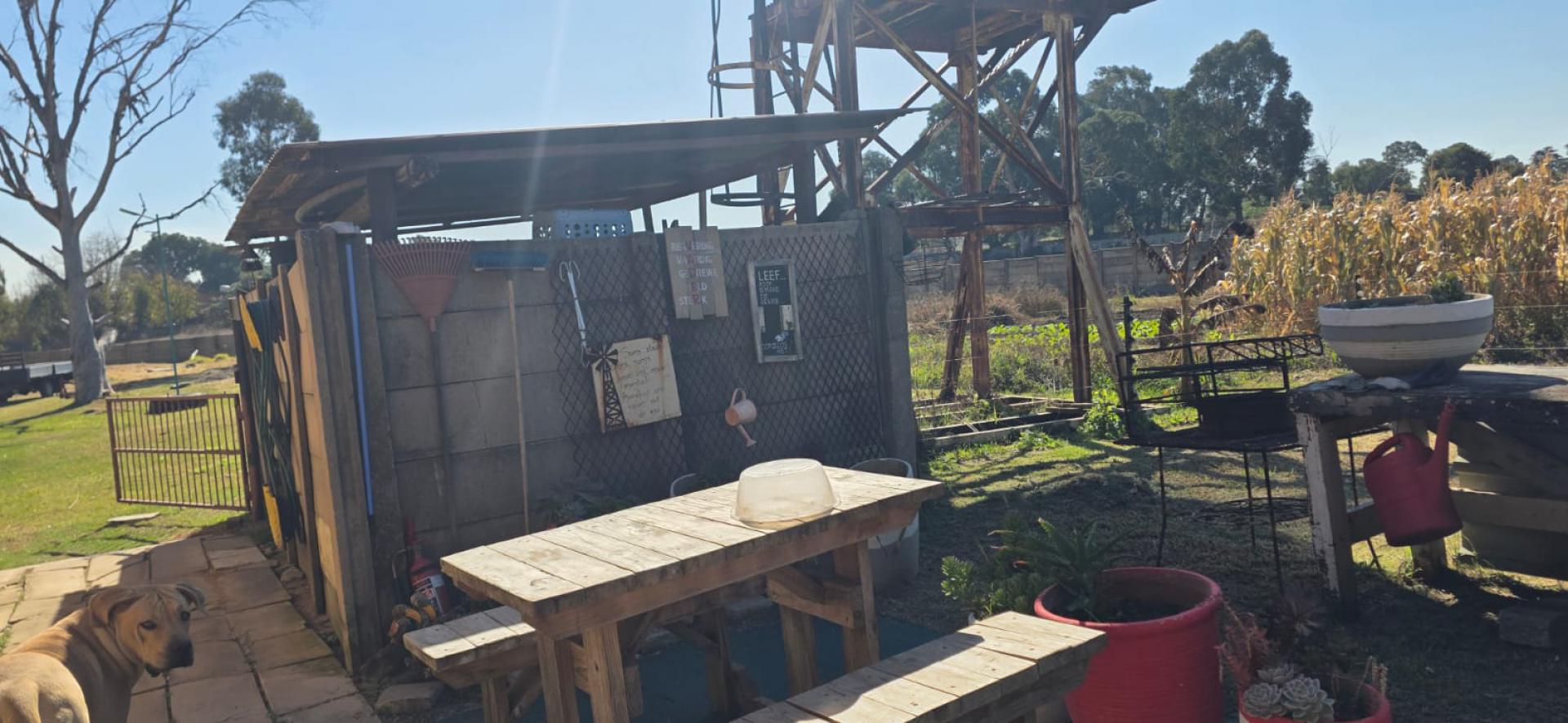  of property in Benoni AH