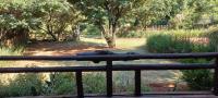  of property in Nest Park
