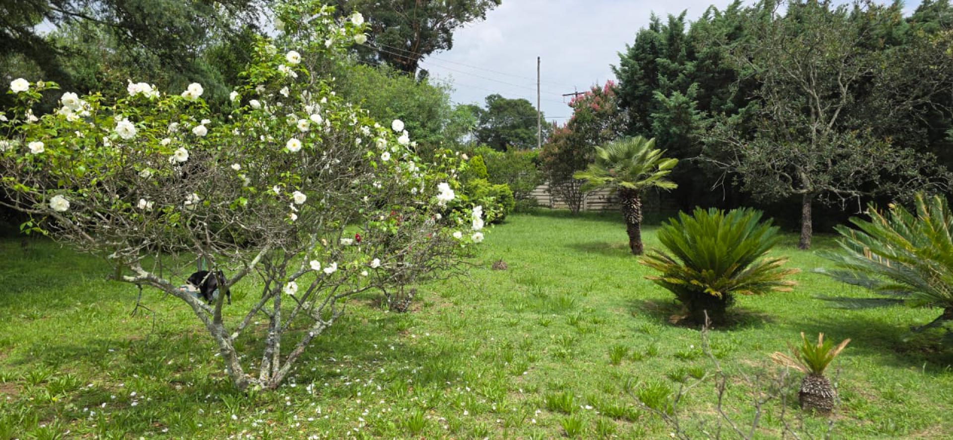  of property in Benoni AH