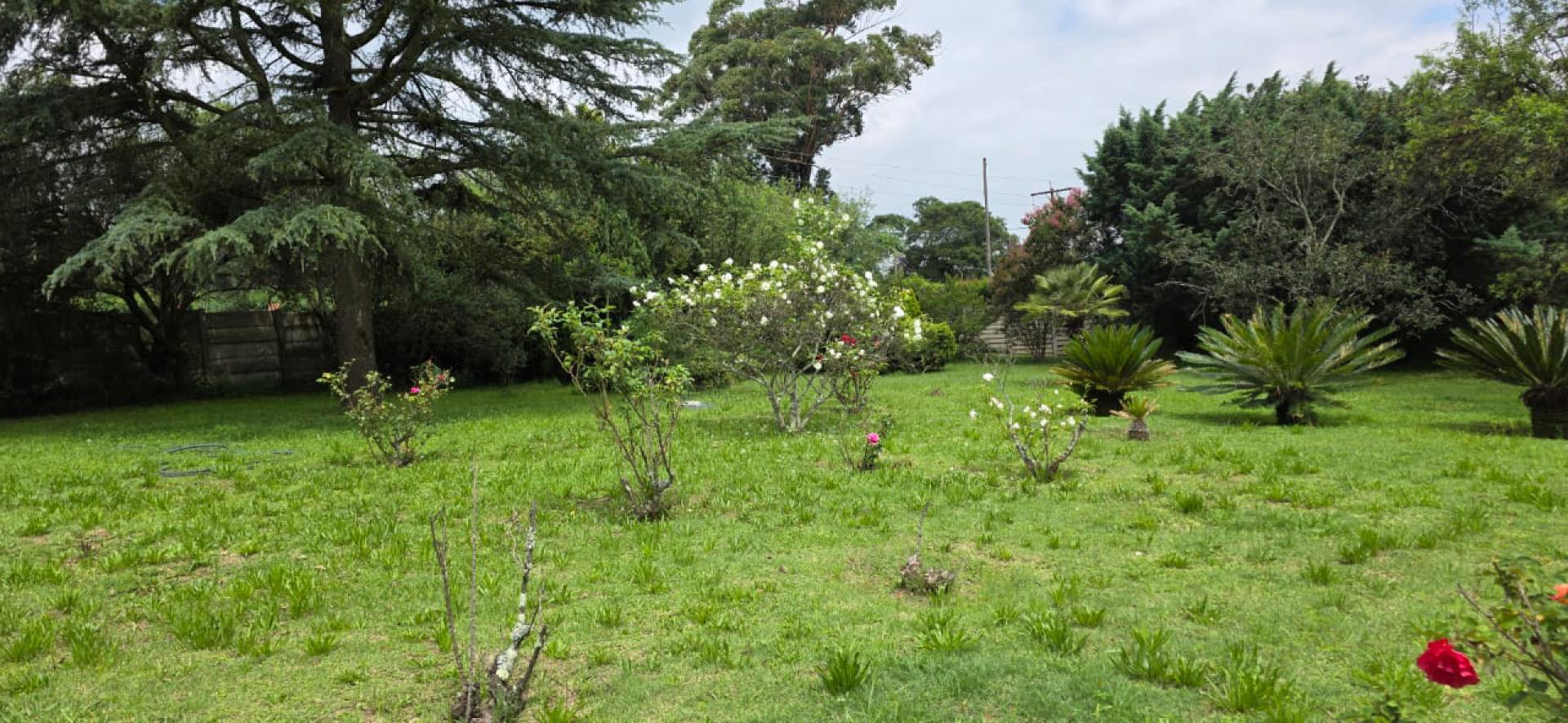  of property in Benoni AH